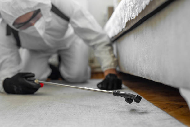 Professional Termite Control technician working in Mastic Beach, NY